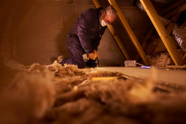 Best Specialized Insulation Services in South Lake Tahoe, CA